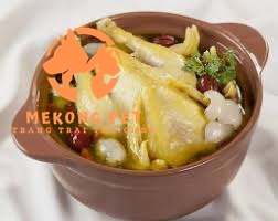 Chim trĩ hầm thuốc bắc rất dể làm, giá cả phải chăng, ai cũng có thể làm và ăn được